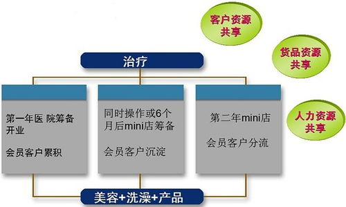 创业赚钱新项目