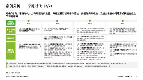 2021中国锂电行业发展 德勤